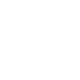 Double Digit Token Counter